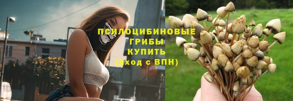 mix Абаза
