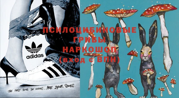 гидропоника Абинск