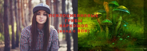 mix Абаза